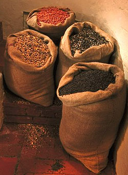 Garden Bird Food image.1