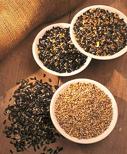 garden bird food image.2