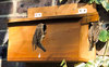 Nestbox - Terraced Nestbox - Multi Sparrow Nestbox.image2