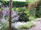 wildlife gardening image.2