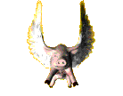 pigfly.gif - 13961 Bytes