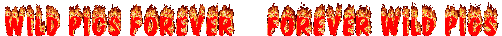 scrollingtext.gif - 112055 Bytes