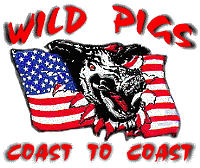 wpcoast.gif - 15760 Bytes