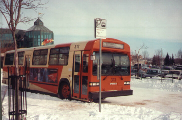 Winter in Winnipeg