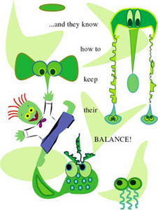 Green page 2