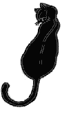 /user/blackieanim.gif
