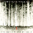 Josh's Blair Witch Mix... [ECD] (Mix de la Pelcula Blair Witch, por Josh [ECD])