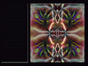 rainbow1.JPG