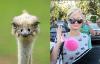 paris_hilton_orly1.jpg 2.5K