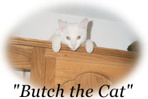 butch.jpg (11268 bytes)