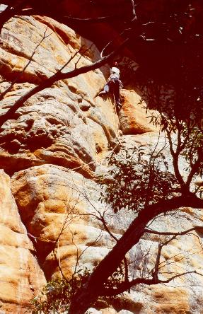What awesome rock!