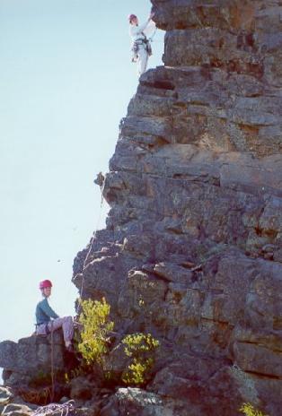 Cornerstone Rib