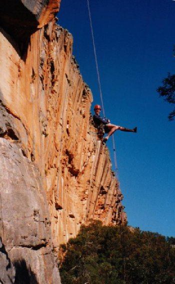 Taipan Wall