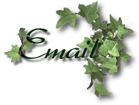 Email Little Egypt