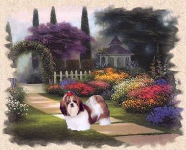 Enter Willow Grove Kennels