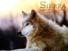 Sierra