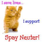 Spay or Neuter Your Pet