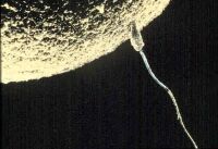 Conception - Rotated 180 Degrees Left