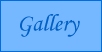 Alyson's Gallery