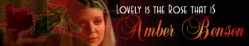 The Essence of Amber