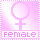 female bee