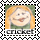 cricket #449