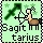 sagittarious bee