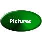 Pictures