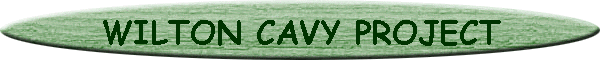 WILTON CAVY PROJECT
