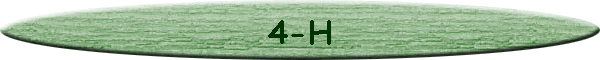 4-H