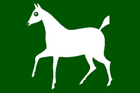 Click here for a better quality version of the flag