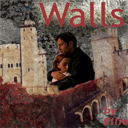 walls.gif (51662 bytes)