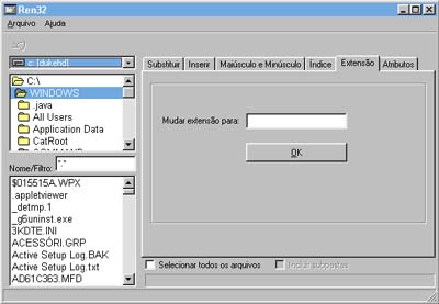 Extensão