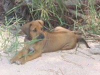 beach_beauty