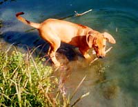 This fishing not as easy as it looks.