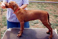 Rubi