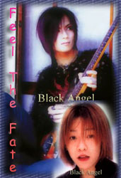 Feel The Fate