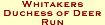Whitakers Duchess of Deer Run