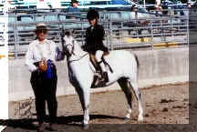 Poppinudrsddl.jpg (24210 bytes)