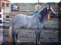 poppin2.jpg (47517 bytes)