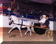 poppindriving.jpg (18999 bytes)