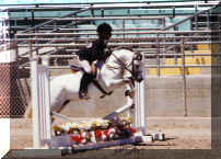 poppinjump.jpg (25995 bytes)