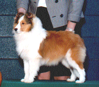 lucy.gif (56646 bytes)