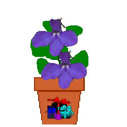 The Site Fights Spirit Flowers