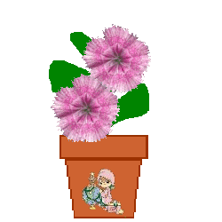 The Site Fights Spirit Flowers