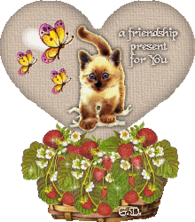 heartbubble with cat