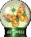 a get well gift