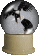 from Spirit Midnight Kitten