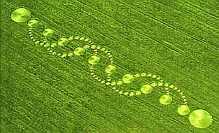 DNA Crop Circle