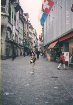 lucerne1.jpg (27730 bytes)